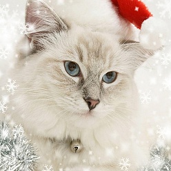 Cat Shape Kit de peinture au diamant rectangle sur le thème de Noël bricolage, y compris le sac de strass en résine, stylo collant diamant, plaque de plateau et pâte à modeler, forme de chat, 400x300mm