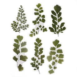 Vert 6 autocollants imperméables adhésifs pour animaux de compagnie végétaux, pour bricolage album photo journal intime décoration de scrapbook, feuille, verte, 163~200x85~104x0.1mm