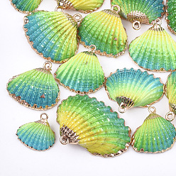 Colorful Spray Paint & Electroplate Sea Shell Pendants, with Iron Findings, Light Gold, Colorful, 19~28x20~30x7~11mm, Hole: 2mm