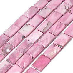 Pink Eau douce naturelle de coquillage perles brins, teint, de couleur plaquée ab , rectangle, rose, 21.5x15.5x3mm, Trou: 1.2mm, Environ 20 pcs/chapelet, 16.85 pouce (42.8 cm)
