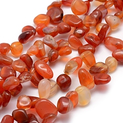 Orange Red Natural Carnelian Beads Strands, Nuggets, Orange Red, 11~22x8~11x4~10mm, Hole: 1mm, 15.3 inch(39cm)