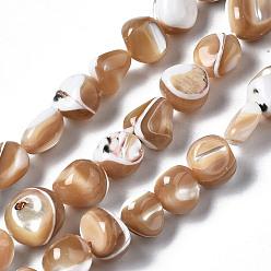 Bois Solide Brins de perles de coquille de trochid / trochus shell, nuggets, burlywood, 4~12x7~9x4~8mm, Trou: 0.7mm, Environ 50~54 pcs/chapelet, 15.35 pouce (39 cm)