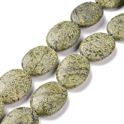 Serpentine Natural Serpentine/Green Lace Stone Beads Strands, Oval, 30x22x8mm, Hole: 1.2~1.5mm, about 13pcs/strand, 15.35''(39cm)