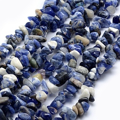 Sodalite Natural Sodalite Beads Strands, Chip, 5~8mm, Hole: 1mm, about 31 inch