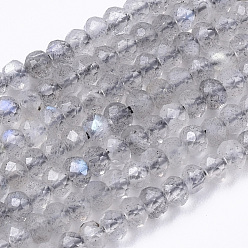 Labradorite Chapelets de perles labradorite naturelle , rondelle, facette, 3x2mm, Trou: 0.7mm, Environ 190 pcs/chapelet, 15.75 pouce (40 cm)