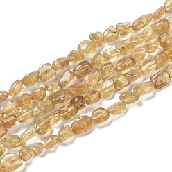 Apatite Perles d'apatite jaune naturel, nuggets, pierre tombée, 5~8.5x5.5~7x3.5~4mm, Trou: 0.7mm, Environ 64 pcs/chapelet, 16.34'' (41.5 cm)