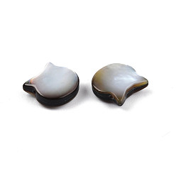 Black Lip Shell Natural Black Lip Shell Beads, Cat Head, 10x10x4mm, Hole: 0.7mm