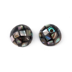 Coloré Coquille d'ormeau synthétique/perles de coquille de paua, demi-tour, colorées, 8x3.5mm