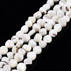 Creamy White Natural Trochid Shell/Trochus Shell Beads Strands, Bleach, Nuggets, Creamy White, 7~12x5~10x4~8mm, Hole: 1mm, about 60~64pcs/strand, 15.16 inch~15.75 inch(38.5~40cm)