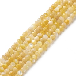Yellow Shell Natural Golden Yellow Shell Beads Strands, Faceted, Round, 3mm, Hole: 0.5mm, about 144pcs/strand, 15.55 inch(39.5cm)