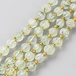 Prehnite Perles naturelles préhnite brins, avec des perles de rocaille, dés célestes à six faces, facette, 6~6.5x6~6.5mm, Trou: 1mm, Environ 50 pcs/chapelet, 15.75 pouce (40 cm)