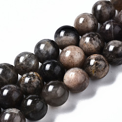 Pierre De Soleil Brins de perles de sunstone noirs naturels, ronde, 10mm, Trou: 0.7mm, Environ 39 pcs/chapelet, 15.55 pouce (39.5 cm)