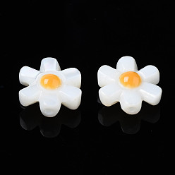 Freshwater Shell Natural Freshwater Shell Beads, Flower, 10x9x4mm, Hole: 0.8mm