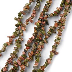 Unakite Natural Unakite Beads Strands, Chip, 1.5~4.5x3~13x2.5~8mm, Hole: 0.6mm, 30.94~31.97 inch(78.6~81.2cm)