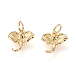 Real 20K Gold Plated Brass Charms, Long-Lasting Plated, Elephant, Real 18K Gold Plated, 12.5x12x2.7mm, Jump Ring: 5x1mm, Inner Diameter: 3mm