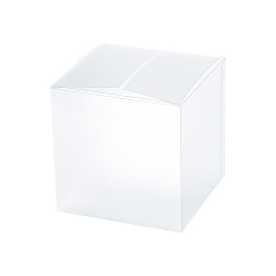 White Frosted PVC Rectangle Favor Box Candy Treat Gift Box, for Wedding Party Baby Shower Packing Box, White, 9x9x9cm