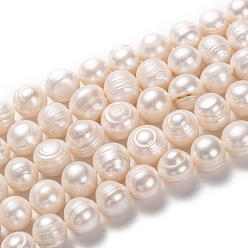 Bisque Natural Cultured Freshwater Pearl Beads Strands, Potato, Bisque, 11.5~13x12~14mm, Hole: 0.6mm, about 30pcs/strand, 14.17 inch(36cm)