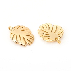 Real 18K Gold Plated Brass Pendants, Tropical Leaf Charms, Monstera Leaf, Real 18K Gold Plated, 19x15x2mm, Hole: 3x2.5mm