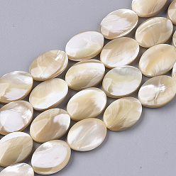 Trochus Shell Natural Trochid Shell/Trochus Shell Beads Strands, Oval, 18x13.5x4~6mm, Hole: 0.7mm, about 22pcs/Strand, 15.79 inch(40.1cm) 