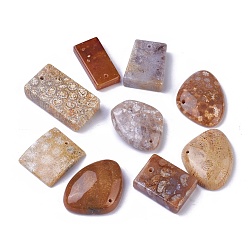 Fossil Coral Natural Fossil Coral Pendants, Mixed Shapes, 21~60x10~33x3~10mm, Hole: 1~2mm