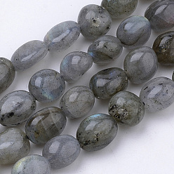 Labradorite Natural Labradorite Beads Strands, Oval, 6~12x5~8x3~8mm, Hole: 1mm, about 50~57pcs/strand, 15.7 inch