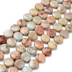 Shoushan Stone Natural Aqua Terra Jasper Beads Strands, Flat Round, 14x5.5mm, Hole: 1.2mm, about 29pcs/strand, 15.94''(40.5cm)