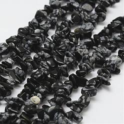 Negro Copo de nieve natural de cuentas de obsidiana hebras, chip, negro, 3~5x7~13x2~4 mm, agujero: 0.4 mm, 34.9 pulgada