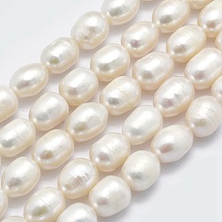 Blanc Floral Brins de perles de culture d'eau douce naturelles, ovale, floral blanc, 8~9x7~8mm, Trou: 0.8mm, Trou: 0.8mm, À propos À propos 34 perle / Chapelet, 13.78 pouce (35 cm)
