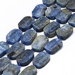 Kyanite Natural Kyanite/Cyanite/Disthene Beads Strands, Frosted, Rectangle, 14~17x11~13x5~6mm, Hole: 1mm, about 21~23pcs/strand, 15.75~16.14 inch(40~41cm)