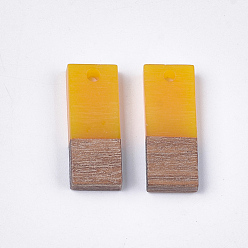 Gold Resin & Walnut Wood Pendants, Rectangle, Gold, 22.5~23x8.5~9x3.5mm, Hole: 2mm