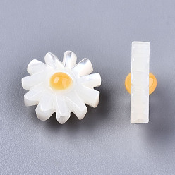 Coquillage De Mer Coquille de nacre blanche naturelle, fleur, couleur de coquillage, 12x4.5mm, Trou: 0.9mm