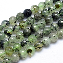 Prehnite Natural Prehnite Beads Strands, Round, 8mm, Hole: 1mm, about 49pcs/strand, 15.5 inch(39.5cm)