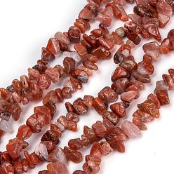 Carnelian Natural Carnelian Beads Strands, Chip, 3~16x3~8mm, Hole: 0.7mm, 32.28 inch(82cm)