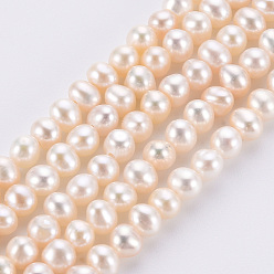 Floral White Natural Cultured Freshwater Pearl Beads Strands, Round, Floral White, 3~3.5mm, Hole: 0.8mm, about 118pcs/strand, 15.7 inch