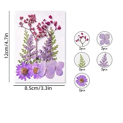 Lilac PET Waterproof Self Adhesive Dried Flower Stickers Sets, DIY Hand Bookmark Decoration Sticker, Flower, Lilac, 120x85mm