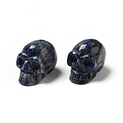 Sodalite Halloween Natural Sodalite Display Decorations, Home Decorations, Skull, 35~37x30~31x48~50.5mm