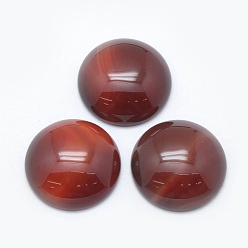 Красный Агат Природные сердоликовые кабошоны, полукруглый, окрашенные, 24.5~25x4~7 мм