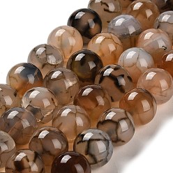 Coffee Natural Dragon Veins Agate Beads Strands, Round, Coffee, 16mm, Hole: 1.6mm, about 24~25pcs/strand, 14.76~15.43''(37.5~39.2cm)