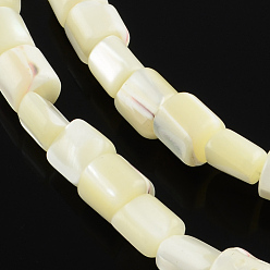 Creamy White Column Natural White Shell Beads Strands, Mother of Pearl Shell Beads, Creamy White, 7~8x7mm, Hole: 0.8mm, about 56pcs/strand, 15.35 inch