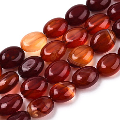 Carnelian Natural Carnelian Beads Strands, Oval, 8x6x4mm, Hole: 1mm, about 49~50pcs/strand, 14.5 inch~14.7 inch