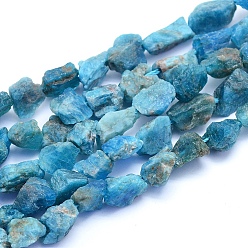 Apatite Raw Rough Natural Apatite Beads Strands, Nuggets, 6~12x6~10x5~8mm, Hole: 0.7mm, about 48pcs/strand, 15.75 inch(40cm)