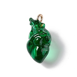 Vert Foncé Pendentifs en résine transparente, charmes de coeur anatomiques, avec boucles en fer plaqué or, vert foncé, 20.5~21.5x11.5x11mm, Trou: 2mm