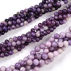 Lepidolite Natural Lepidolite/Purple Mica Stone Beads Strands, Round, 8~8.5mm, Hole: 1mm, about 48pcs/Strand, 15.47 inch(39.3cm)