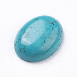 Turquoise Cabochons howlite naturelles, ovale, teint, turquoise, 20x15.5x6mm