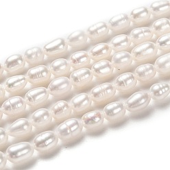 Bisque Natural Cultured Freshwater Pearl Beads Strands, Rice, Bisque, 6~9x4~5mm, Hole: 0.5mm, about 45pcs/strand, 14.37 inch(36.5cm)