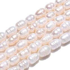 Seashell Color Natural Cultured Freshwater Pearl Beads Strands, Rice, Seashell Color, 7~11x5.5~6.5mm, Hole: 0.7mm, about 43~45pcs/strand, 13.70 inch~13.94 inch(34.8~35.4cm)