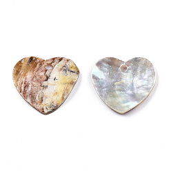 Coquille Akoya Pendentifs shell akoya naturel, pendentif coquillage nacre, charme coeur, 14~15.5x15~16x1.5~2.5mm, Trou: 1.4mm