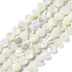 Coquillage De Mer Brins de perles de coquille de trochid / trochus shell, cœur, couleur de coquillage, 7.5~8x7.5x3mm, Trou: 0.6mm, Environ 49 pcs/chapelet, 15.08~15.16 (38.3~38.5 cm)