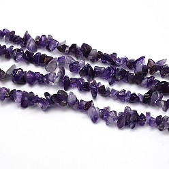 Amethyst Natural Amethyst Beads Strands, Chips, 8~20x8~18mm, Hole: 1mm, about 31.5 inch