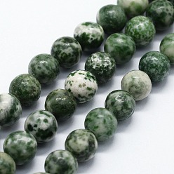 Камень с Зелеными Точками Натуральные зеленые пятна яшмовых нитей, круглые, 4 мм, отверстие : 0.6 мм, около 85~88 шт / нитка, 14.76 дюйм (37.5 см)